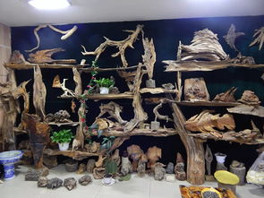 雙鴨山市第八屆工藝美術(shù)創(chuàng)新作品暨旅游紀(jì)念品展銷(xiāo)會(huì)隆重開(kāi)幕，本土工藝精品薈萃展風(fēng)采